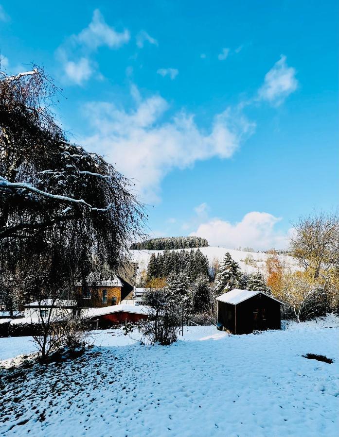 Fewo - Bergblick Клингенталь Экстерьер фото